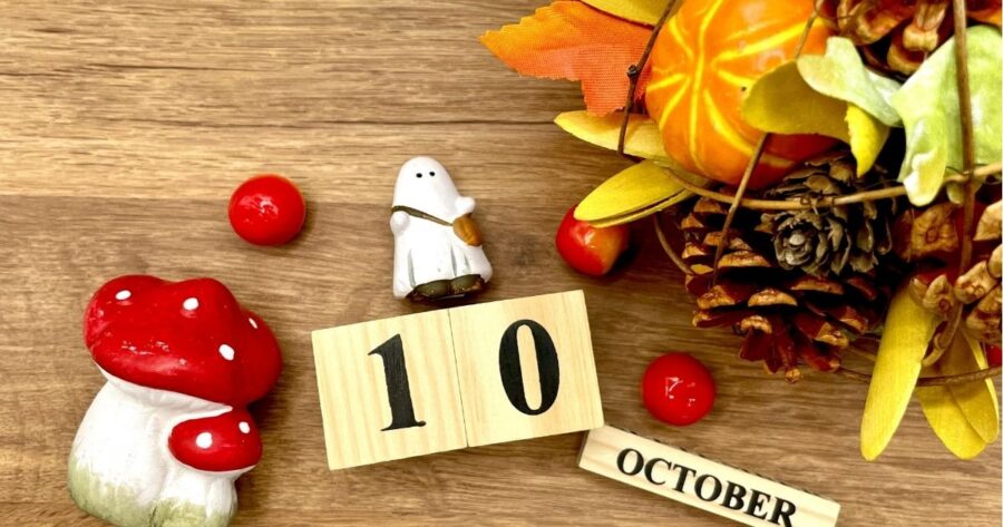 お化けやキノコのオブジェと松ぼっくり